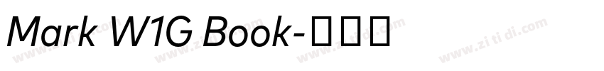 Mark W1G Book字体转换 Mark W1G Book字体转换